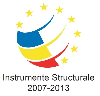 Instrumente_Structurale